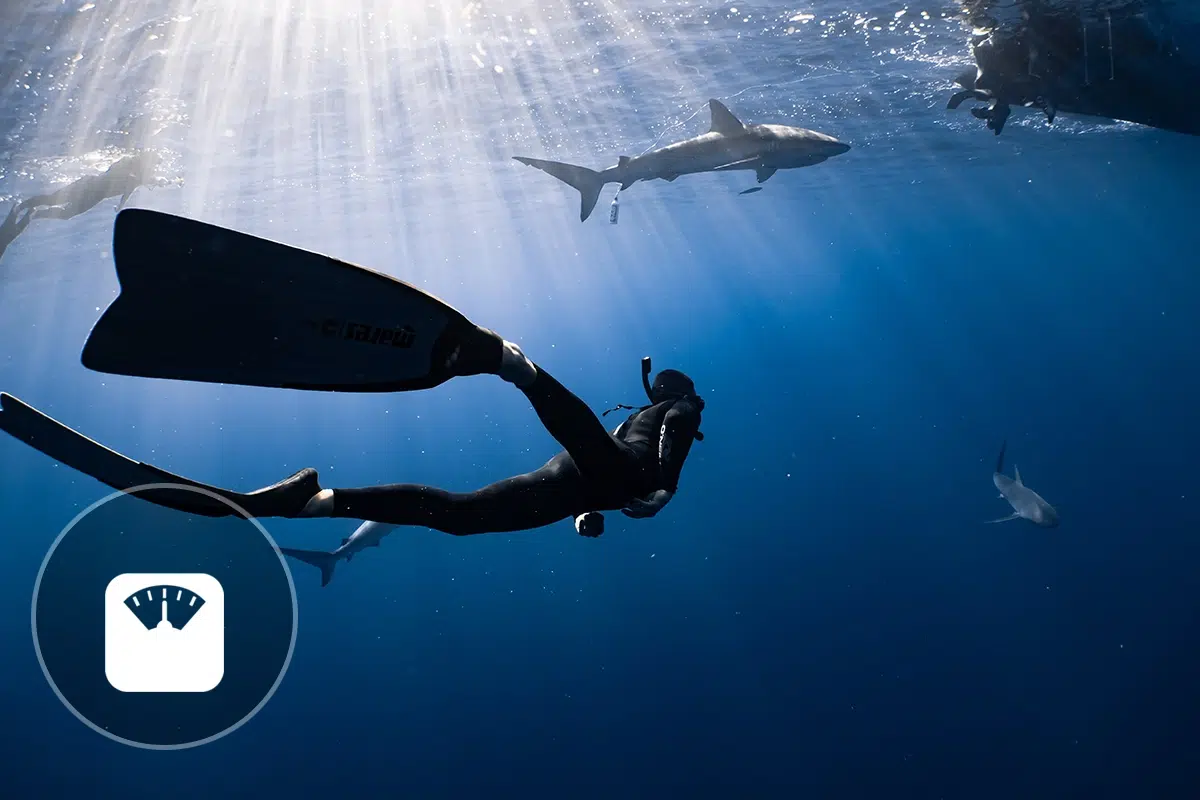 La plongée sous marine est-elle efficace pour maigrir et perdre du poids rapidement ?