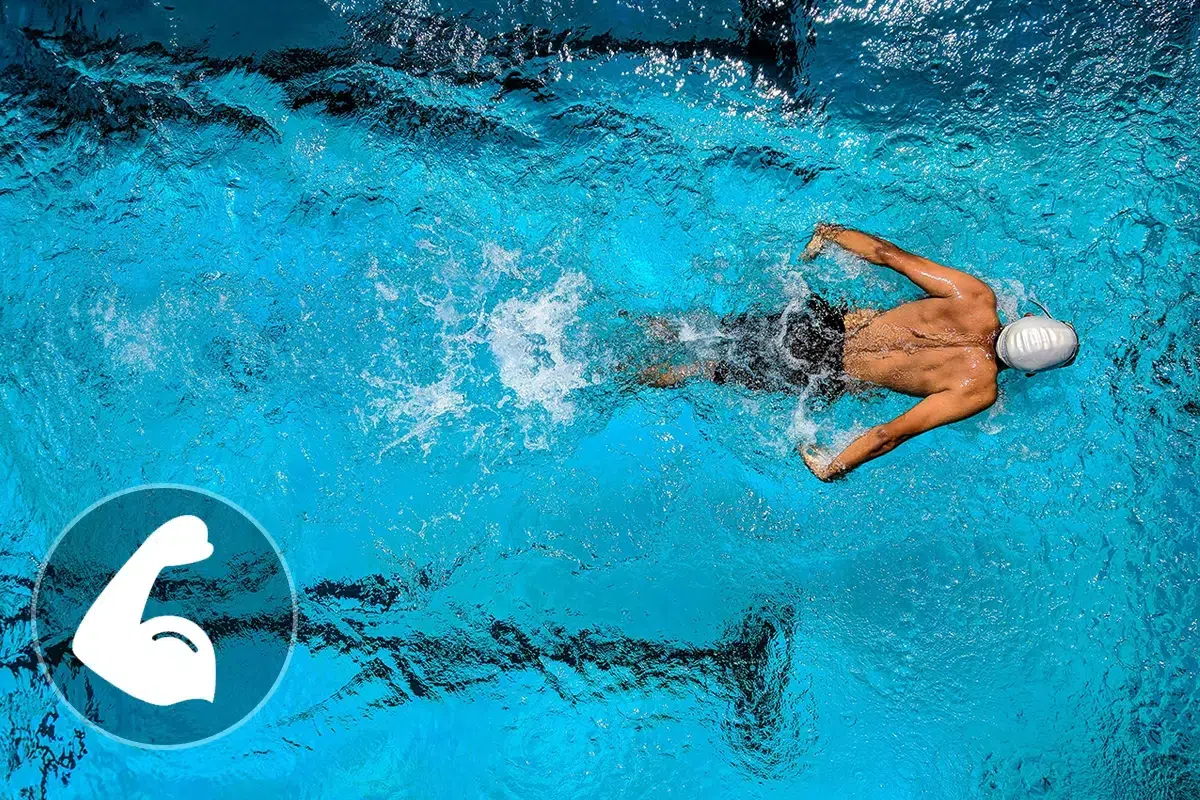 Which muscles does swimming use and tone?