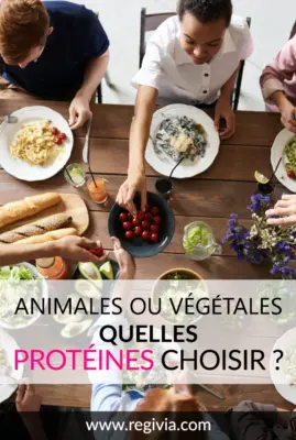 Protéines animales vs protéines végétales : lesquelles choisir ?