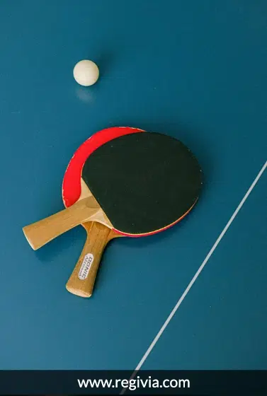 Housses - Accessoires de Ping-Pong - Ping-Pong accessoires