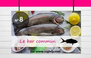 Top 8 : Le bar commun ou loup
