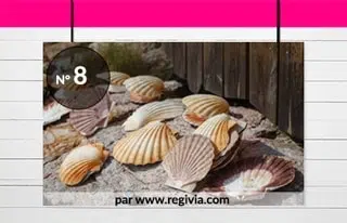 Top 8 : La coquille Saint-Jacques (noix et corail)
